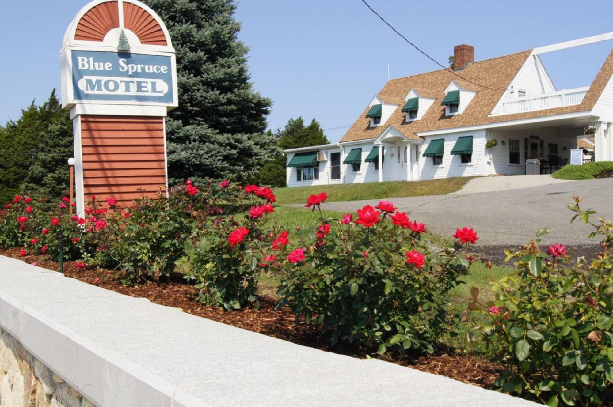 Motel Blue Spruce Plymouth Exterior foto
