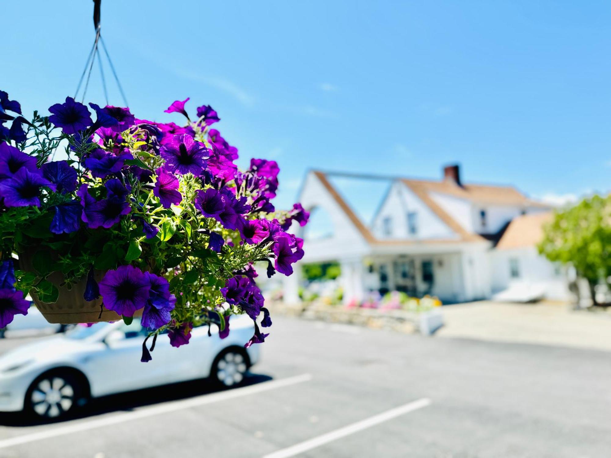 Motel Blue Spruce Plymouth Exterior foto
