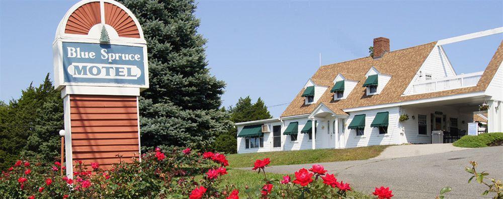 Motel Blue Spruce Plymouth Exterior foto